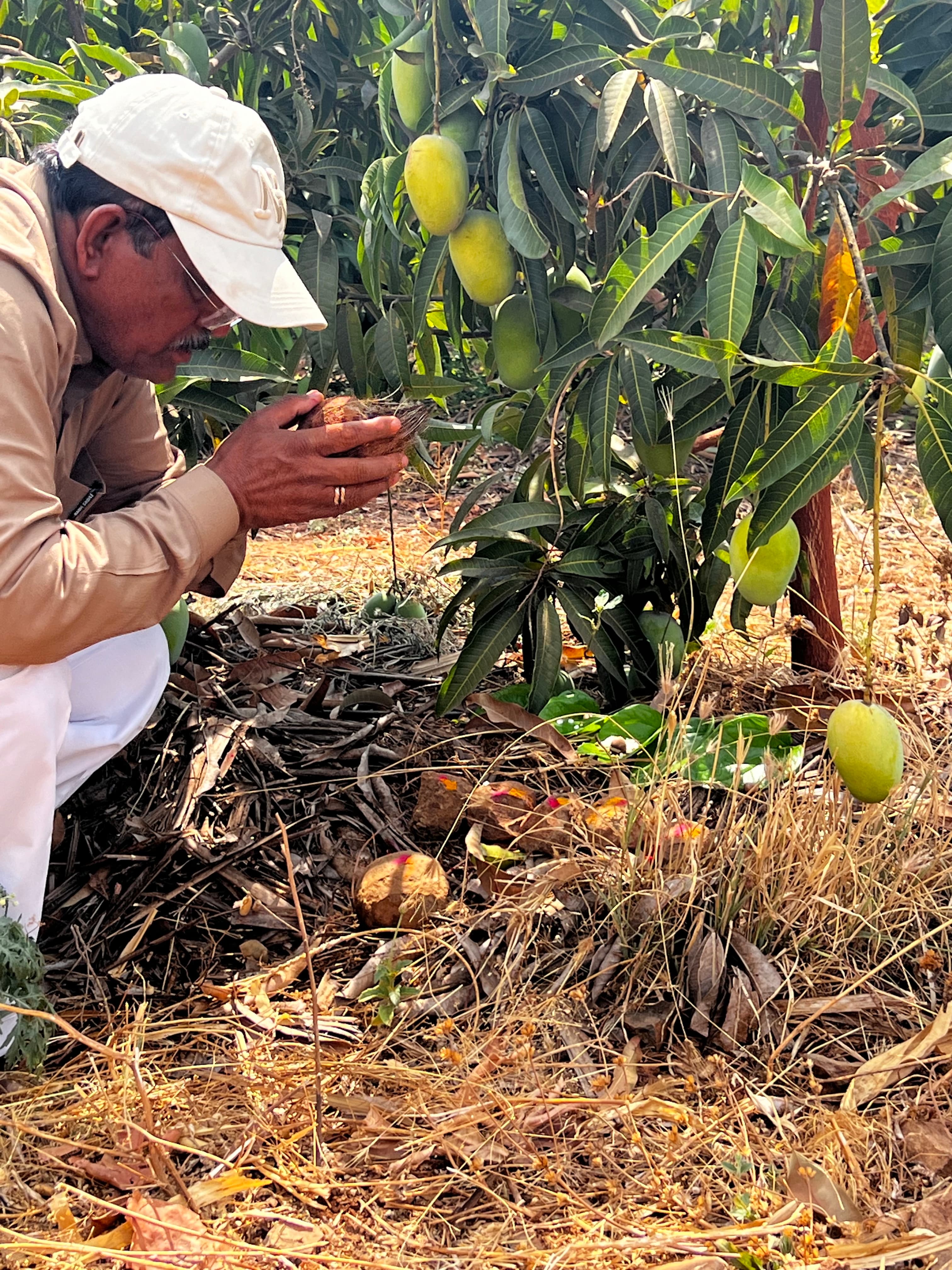 Farm landscape view ten