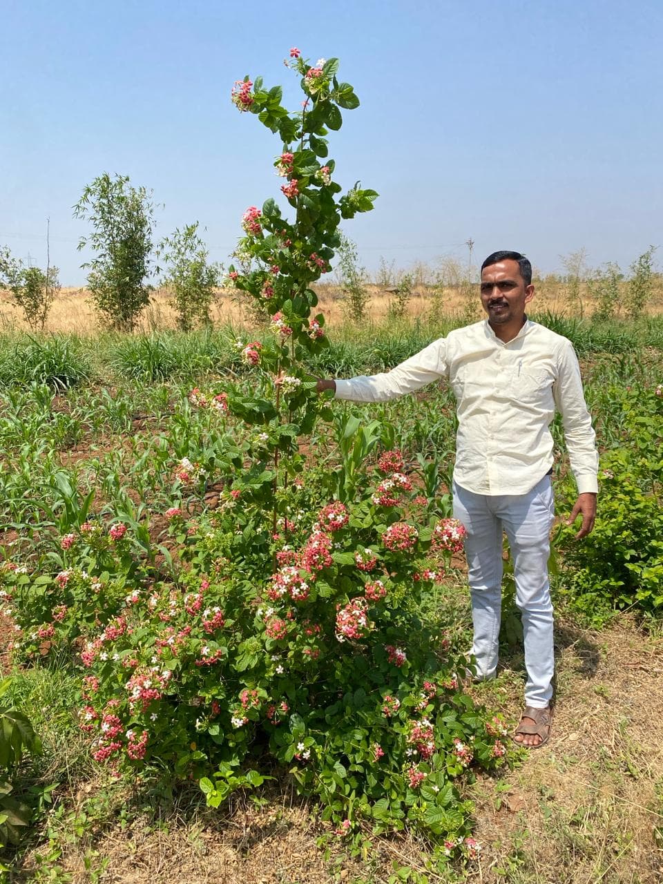 Farm landscape view fourteen