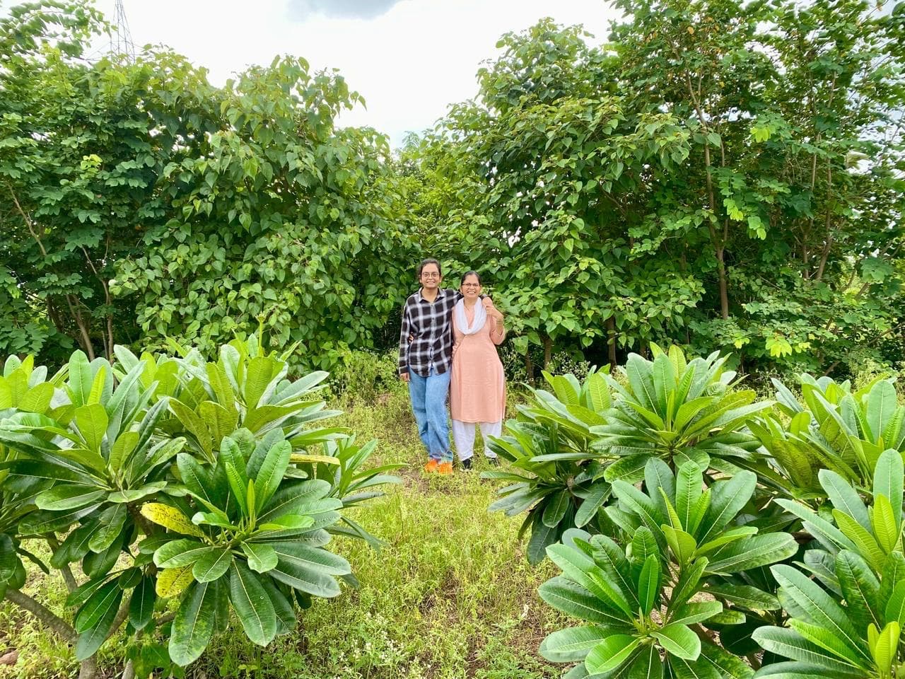 Farm landscape view nineteen