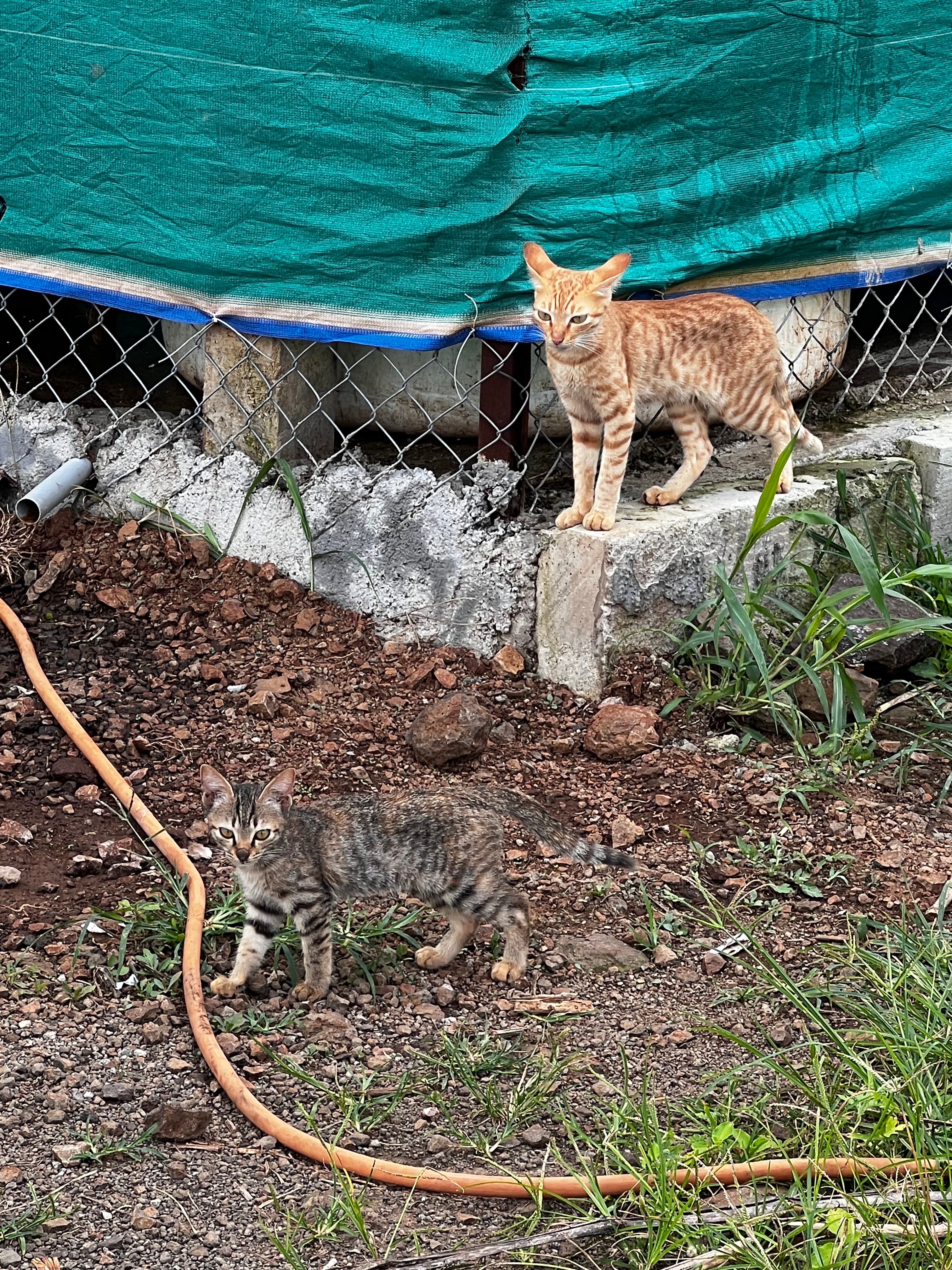 Farm landscape view twenty-eight