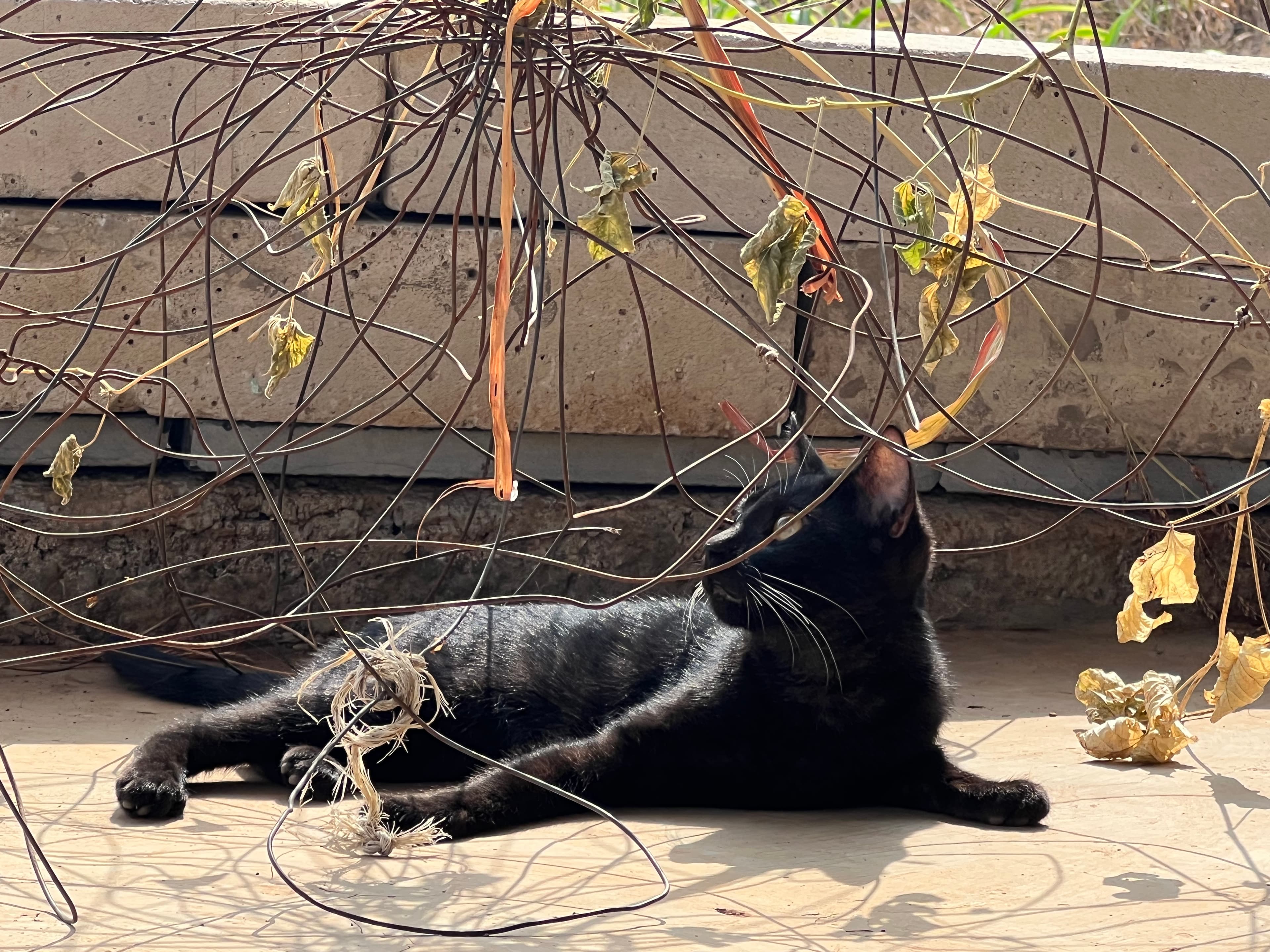 Farm landscape view twenty-nine