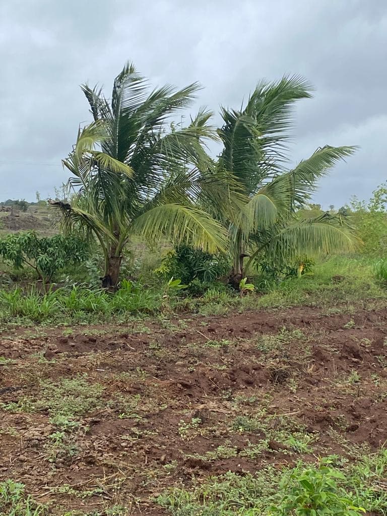 Farm landscape view thirty-three