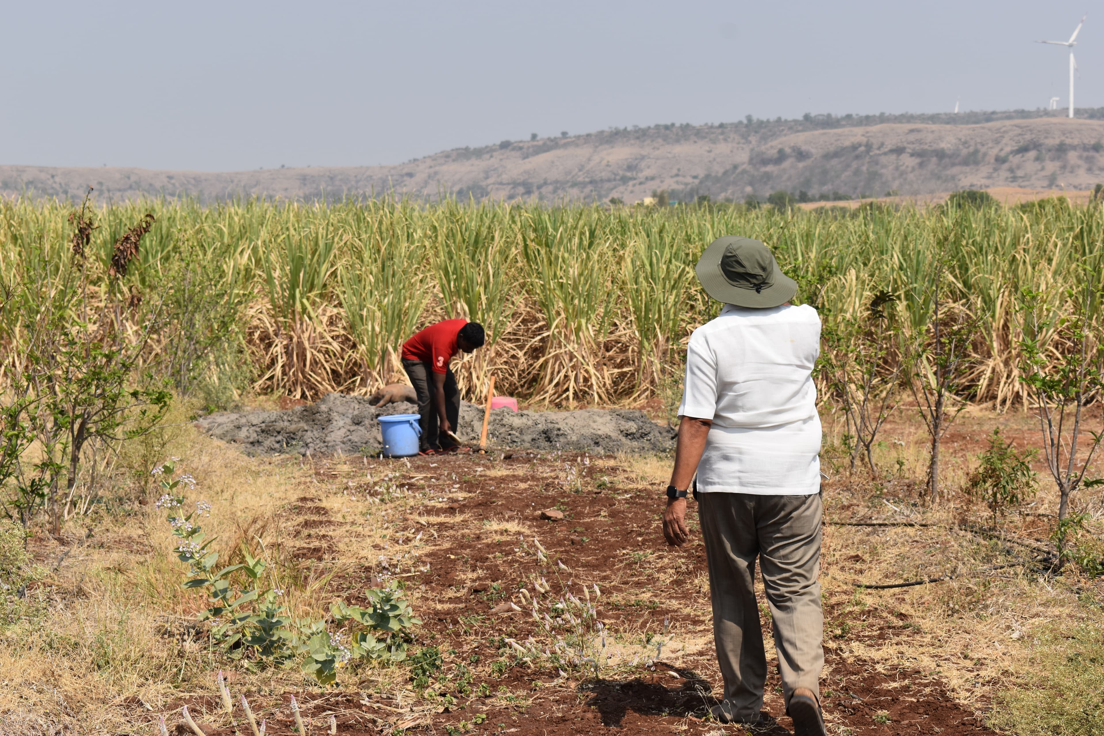 Farm landscape view thirty-four