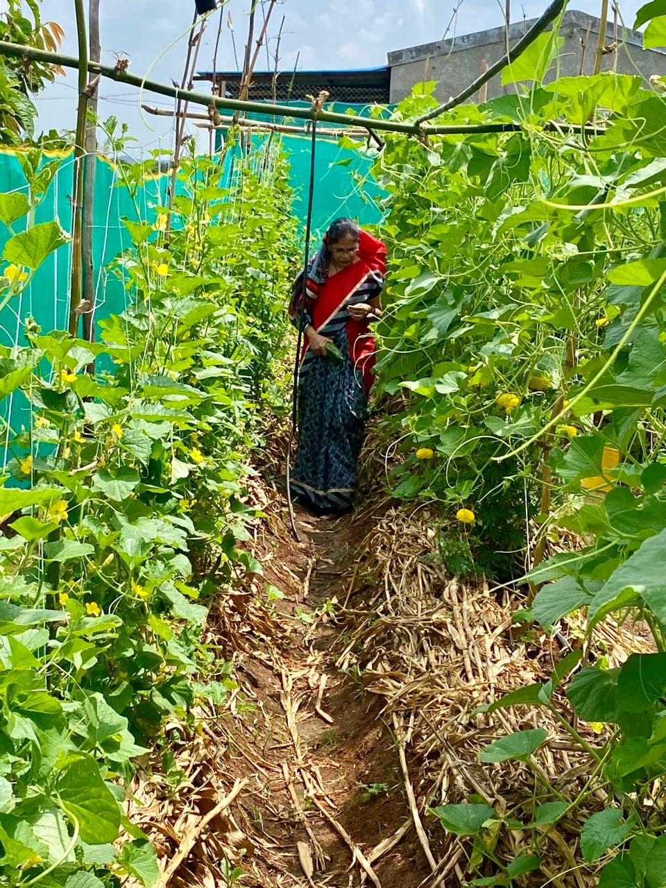 Farm landscape view thirty-five