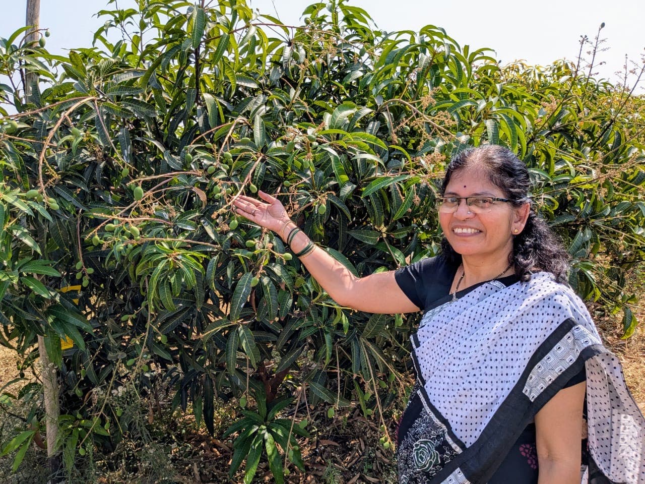 Farm landscape view thirty-seven