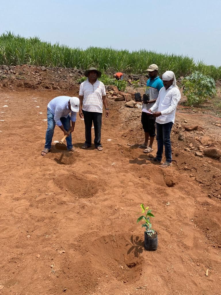 Farm landscape view forty-eight