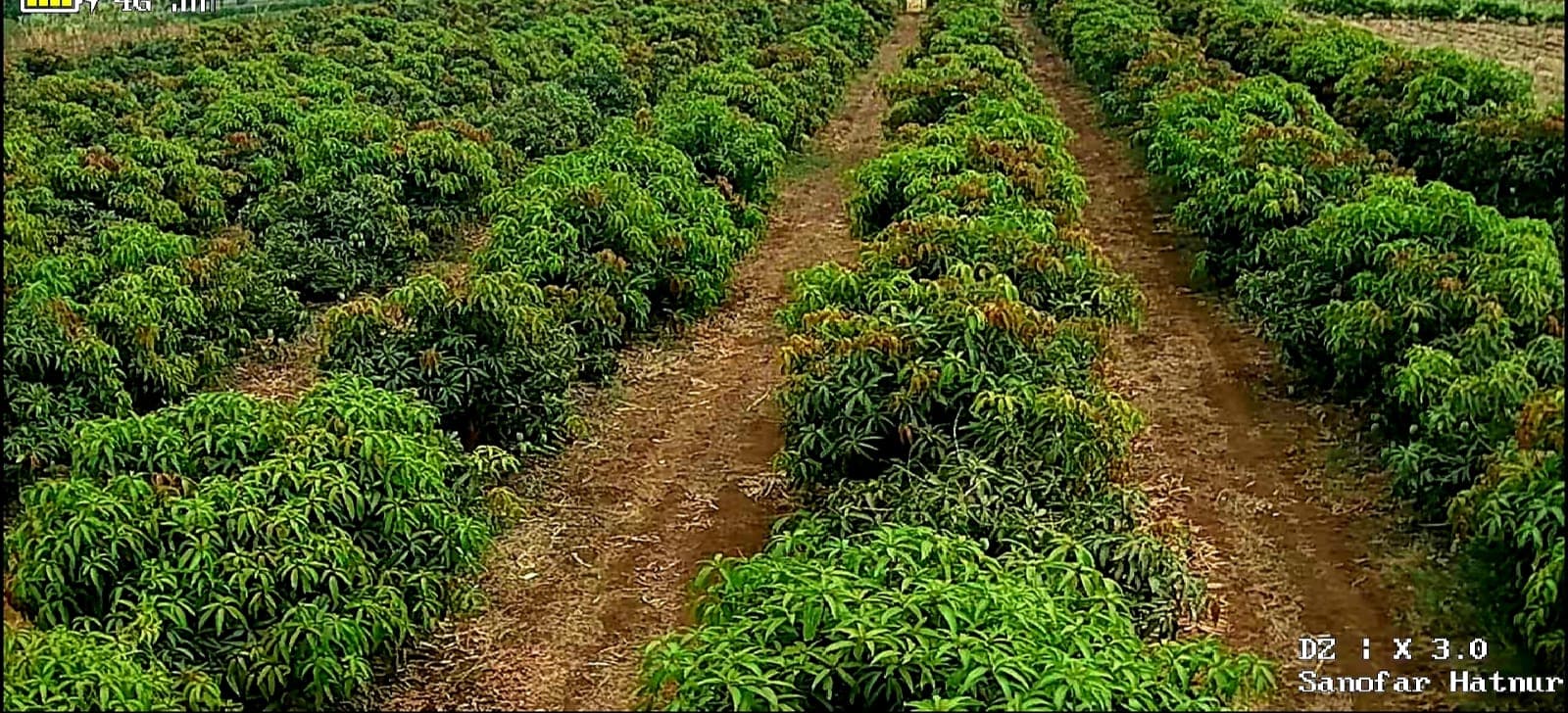 Farm landscape view fifty-three