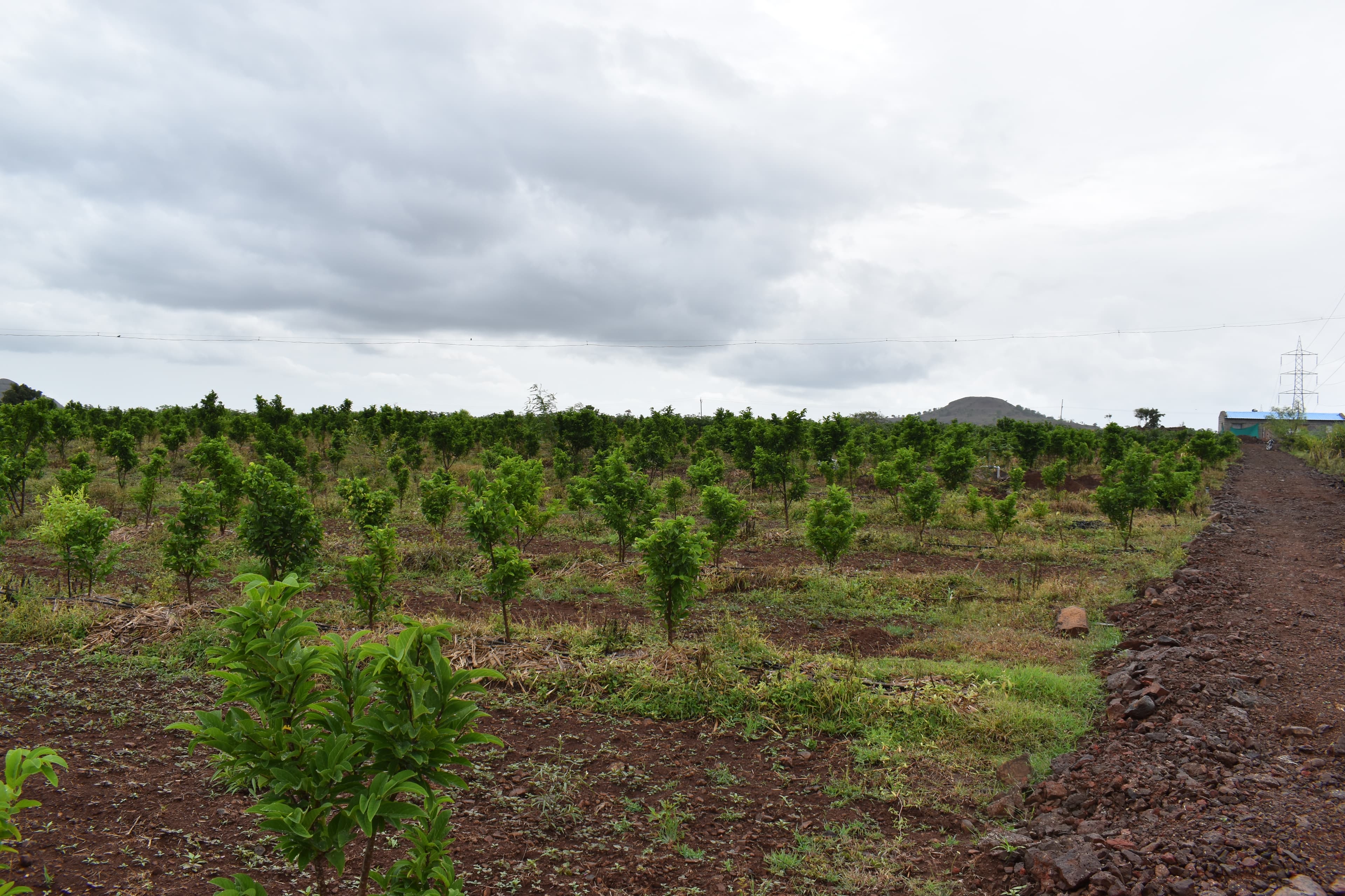 Farm landscape view six