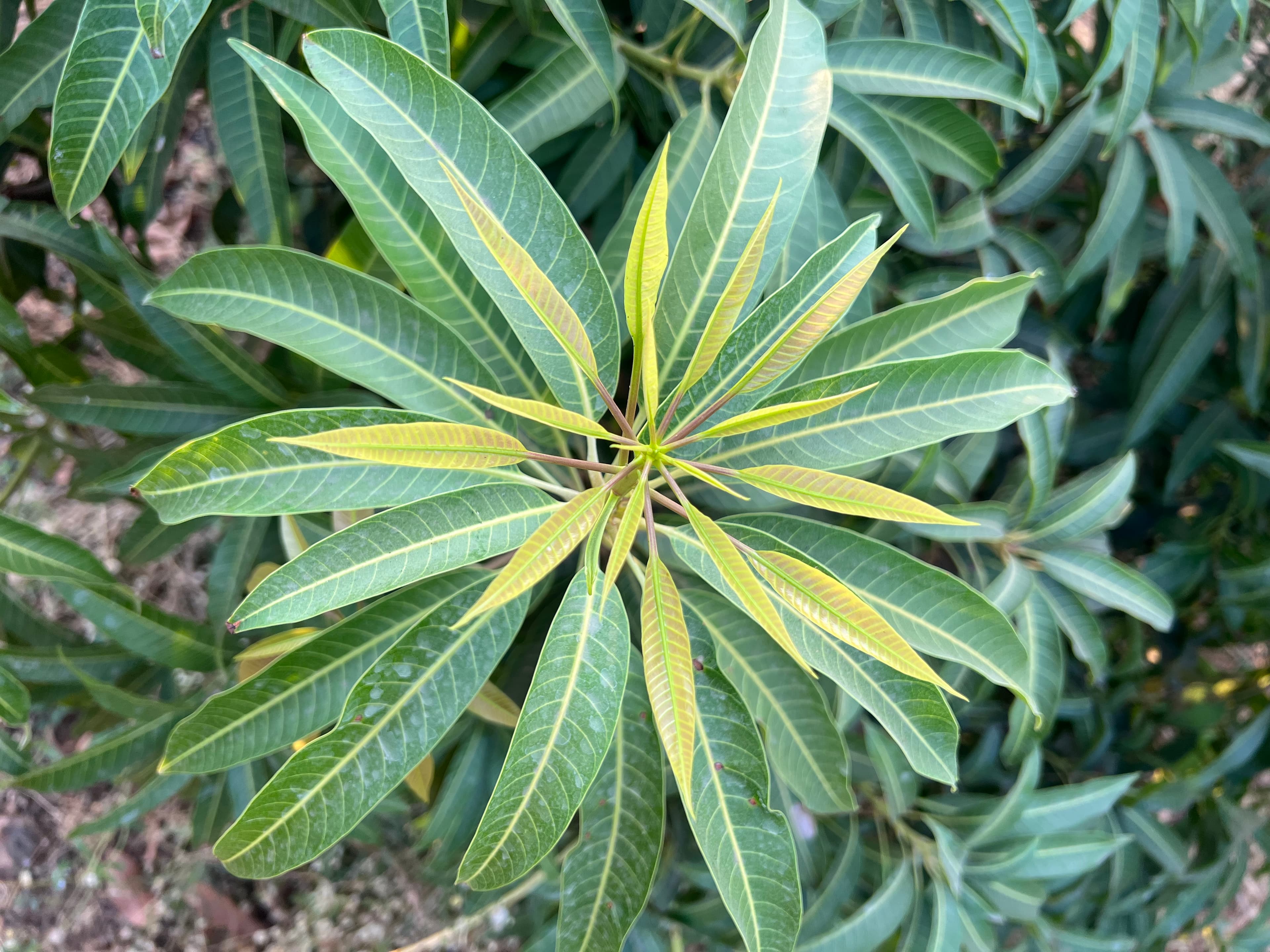 Farm landscape view seven