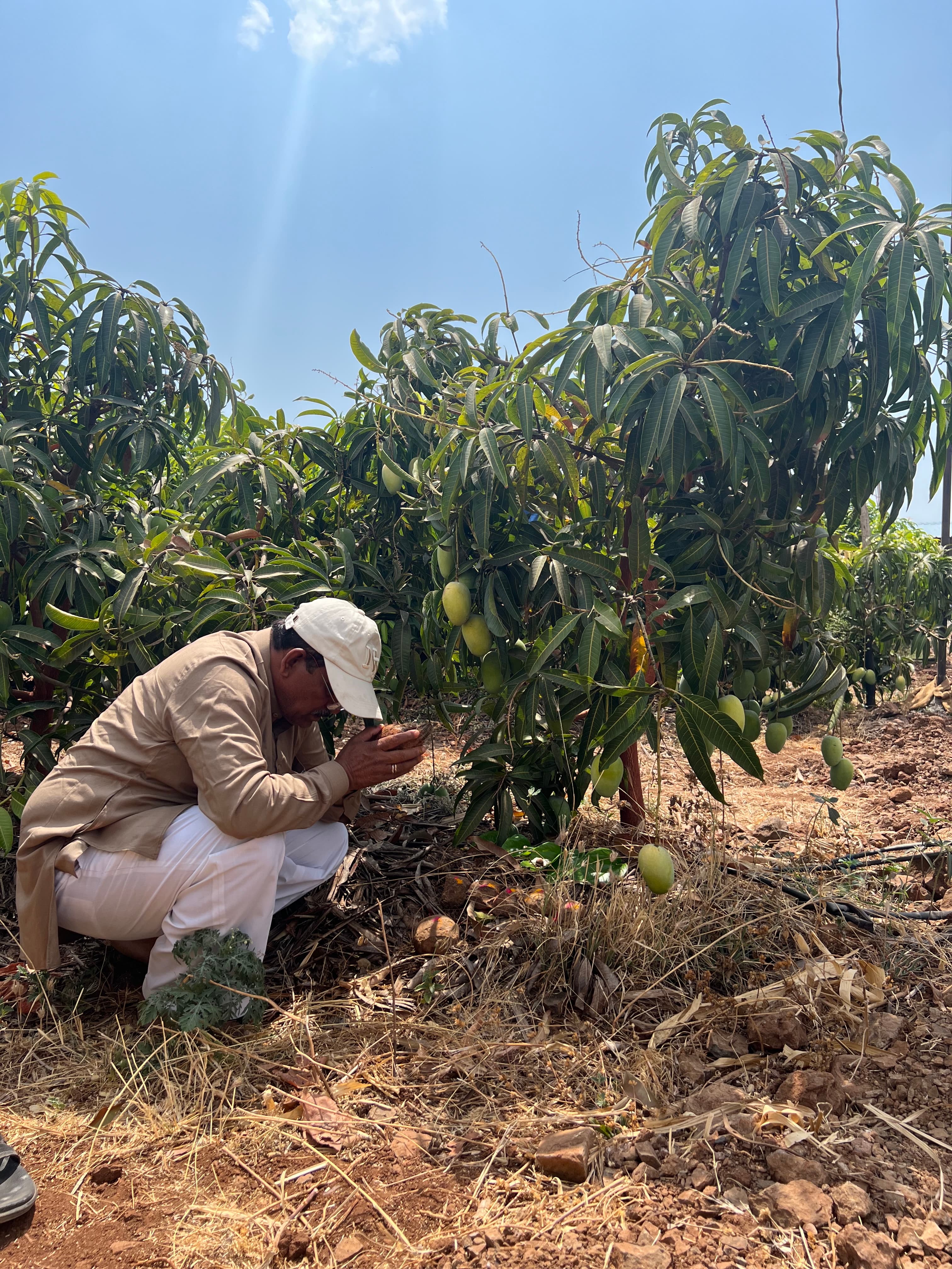 Farm landscape view nine