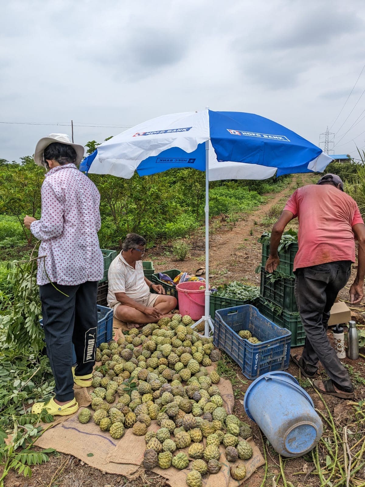 Farm landscape view eleven